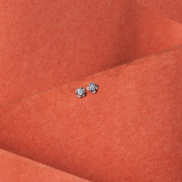 Trendy Silver Bold Aura Circles Stud Earrings for her 