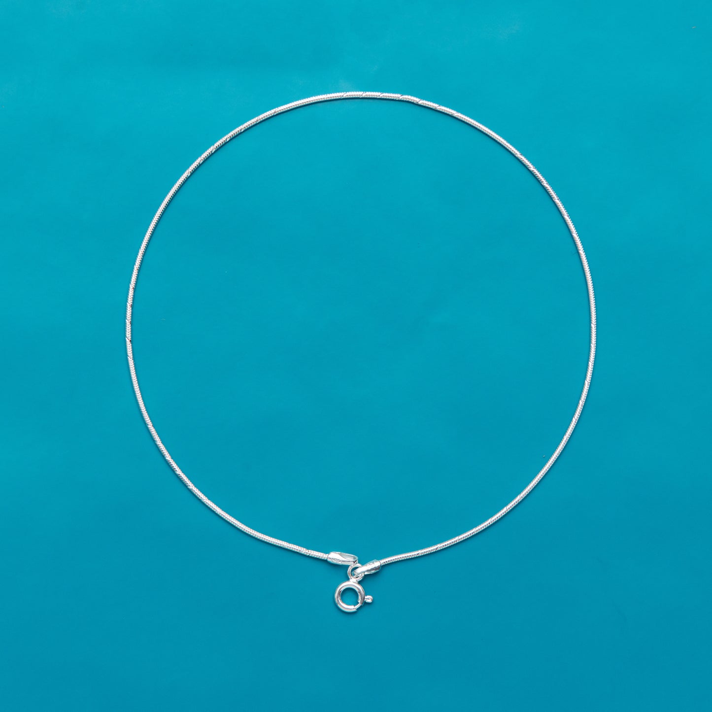 Elegant Little Silver Anklet